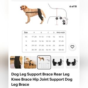 Dog's brace, back legs, f9r medium size dogs